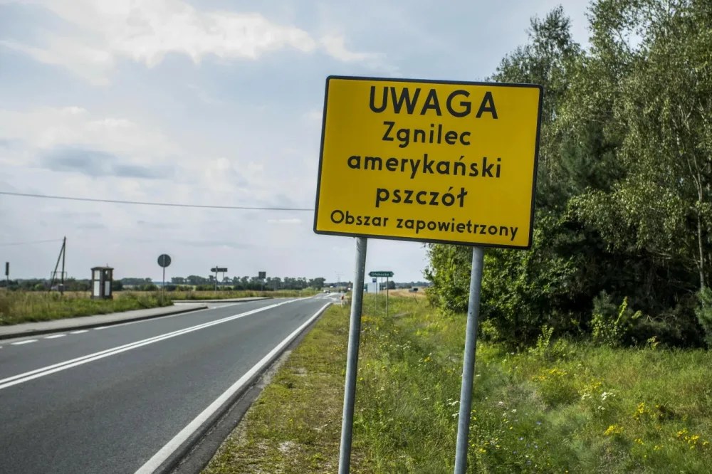 Tablica ostrzegawcza zgnilec amerykański pszczół obszar zapowietrzony przy drodze